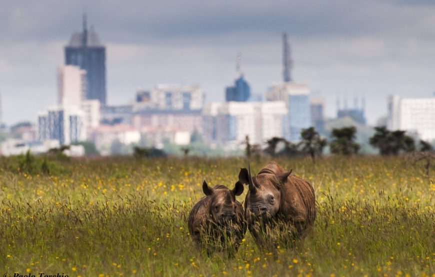 Nairobi National Park